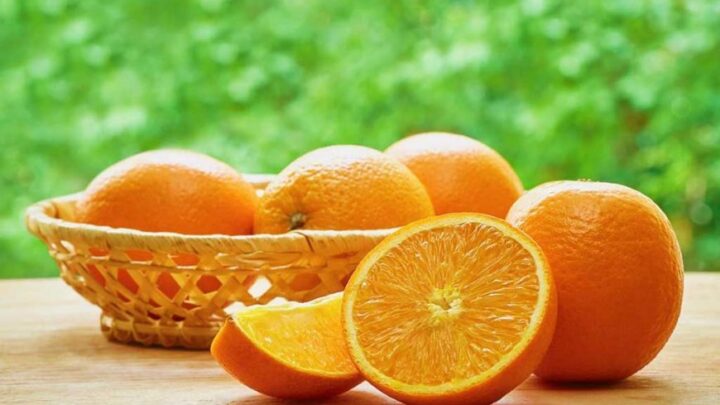 CITROS/CEPEA: De forma atípica, procura por laranjas sobre na semana do Natal