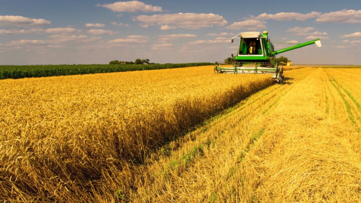 Crescimento do setor de insumos agrícolas abre oportunidade para profissionalização e investimento em Marketing