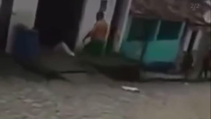 Polícia prende homem filmado matando gato a pauladas em Cajueiro-AL