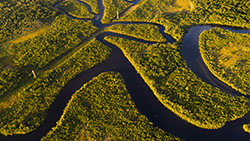 Consumo sustentável de produtos da Amazônia contribui na preservação ambiental