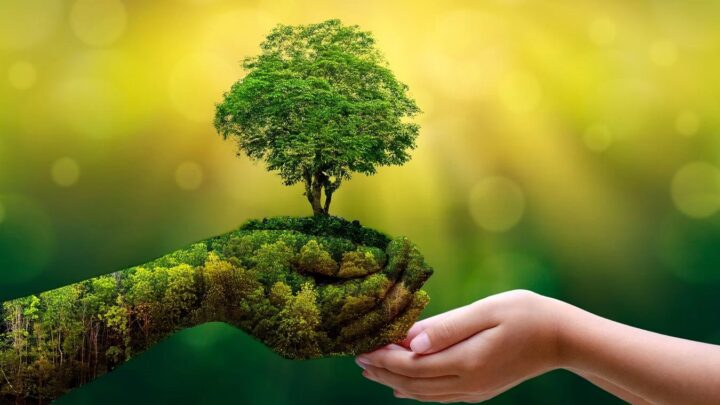 Ecoturismo brasileiro abrange sustentabilidade e responsabilidade ambiental