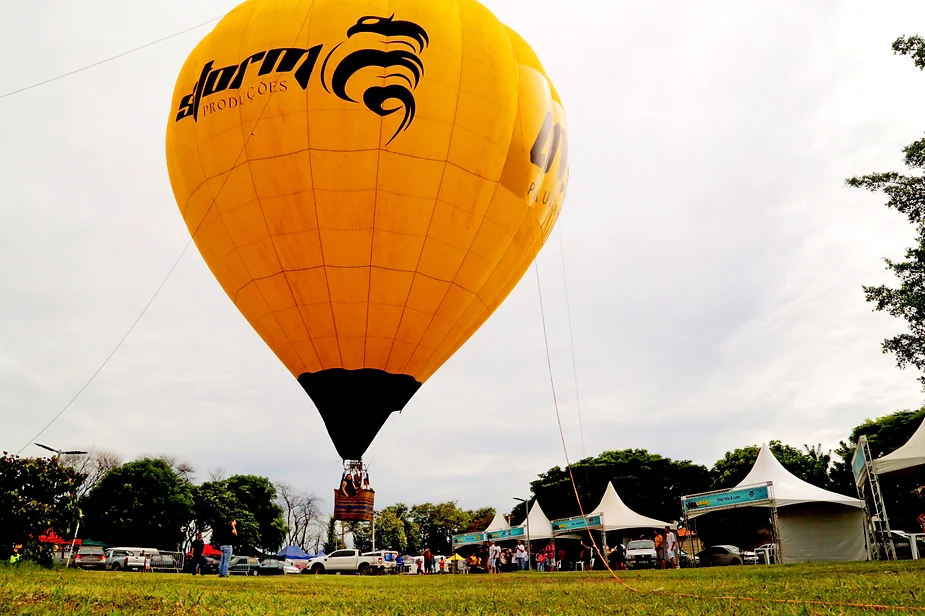 Projeto social Vira Amigo arrecada uma tonelada de ração para cães e gatos