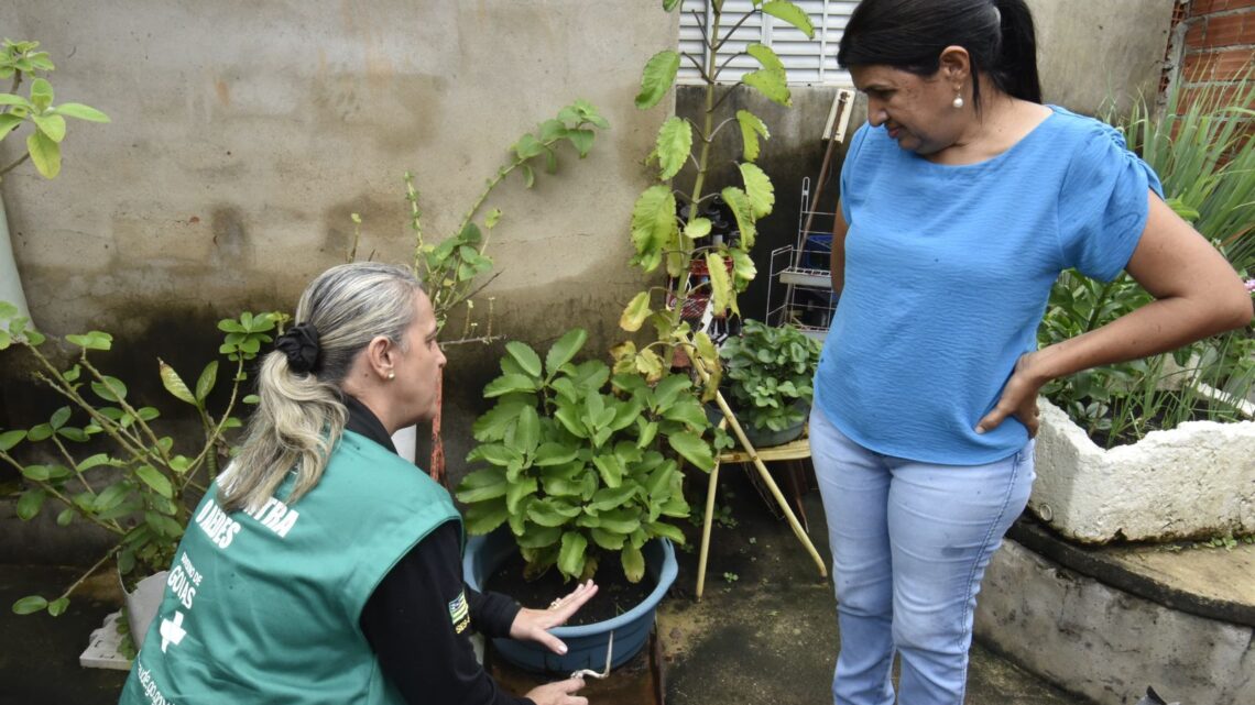 DENGUE EM GOIÁS: não espere os sintomas se agravarem para procurar atendimento