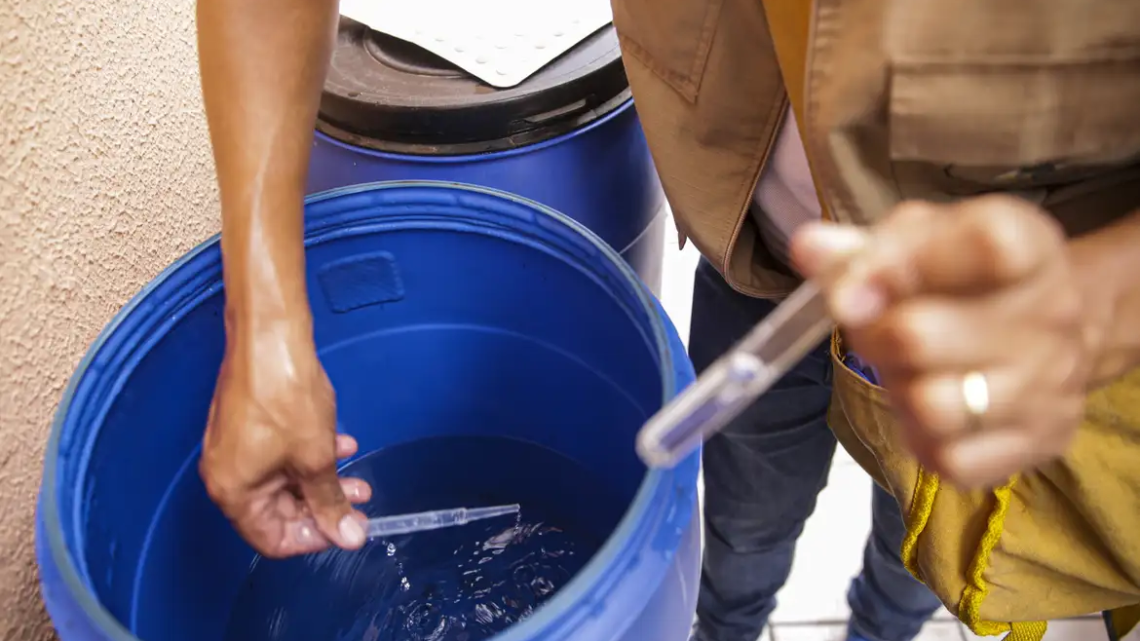 Dengue: Brasil ultrapassa 1,3 milhão de casos prováveis em 2024