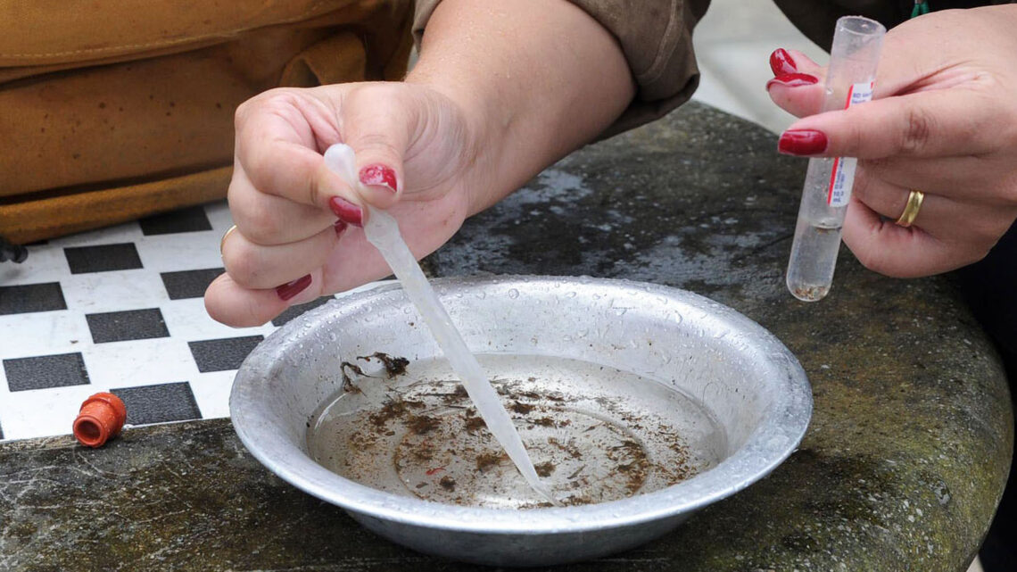 Paraná registra mais de 8 mil casos de dengue e 7 mortes em uma semana