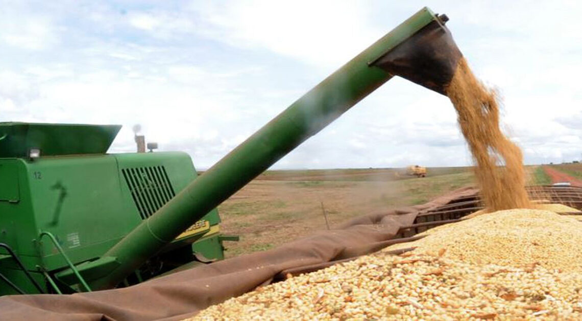 Preço da soja inicia a quarta-feira (13) em alta no Paraná
