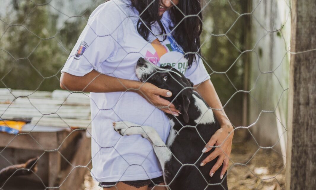 Em Pontal do Paraná Rede de Proteção Animal completa 2 anos