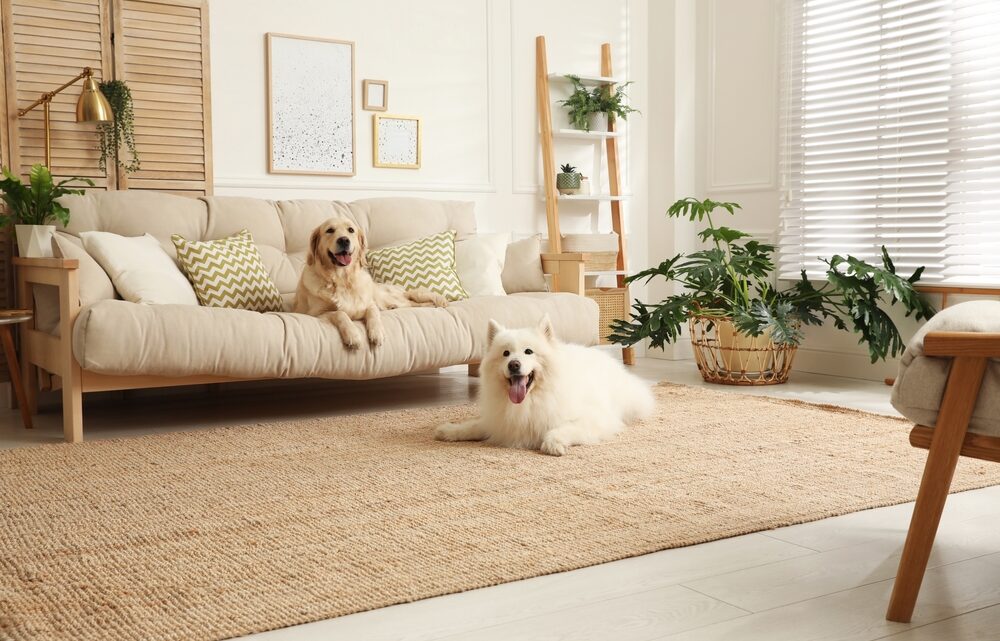 Plataforma transforma mercado Imobiliário com ação social