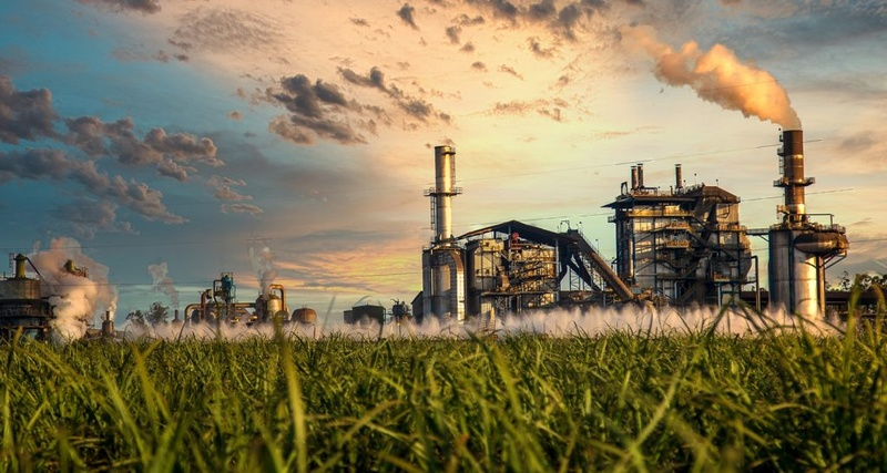 Produção de açúcar e etanol anidro são recordes na safra de cana