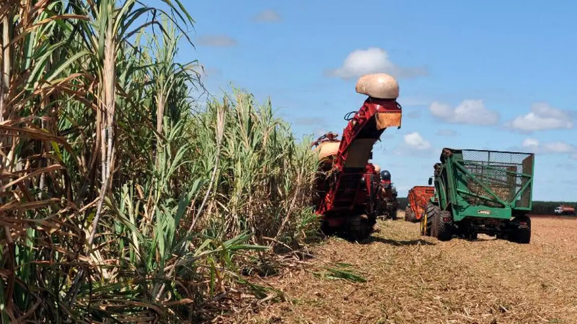 Desembolso do crédito rural chega a R$ 347,2 bilhões em 10 meses, aponta Mapa