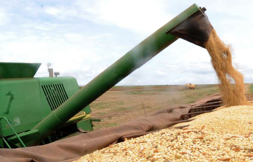 Soja registra nova alta no preço e produto chega a custar R$ 129,72 no Paraná