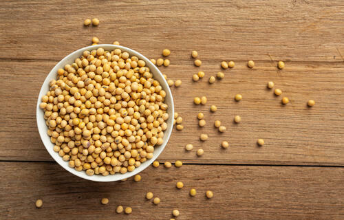 Após queda de 0,07%, saca de soja inicia a segunda-feira (3) custando R$ 133,27