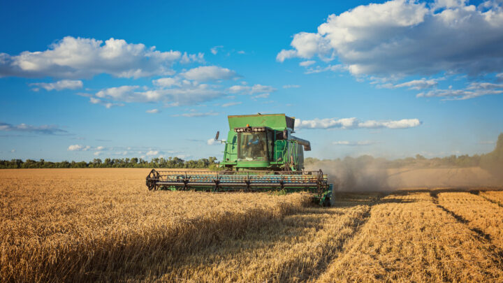 Exportações do agronegócio atingem US$ 67 bi em 2024