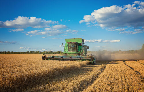 IBGE: Safra estimada para 2024 de 296,8 milhões de toneladas; queda de 5,9%
