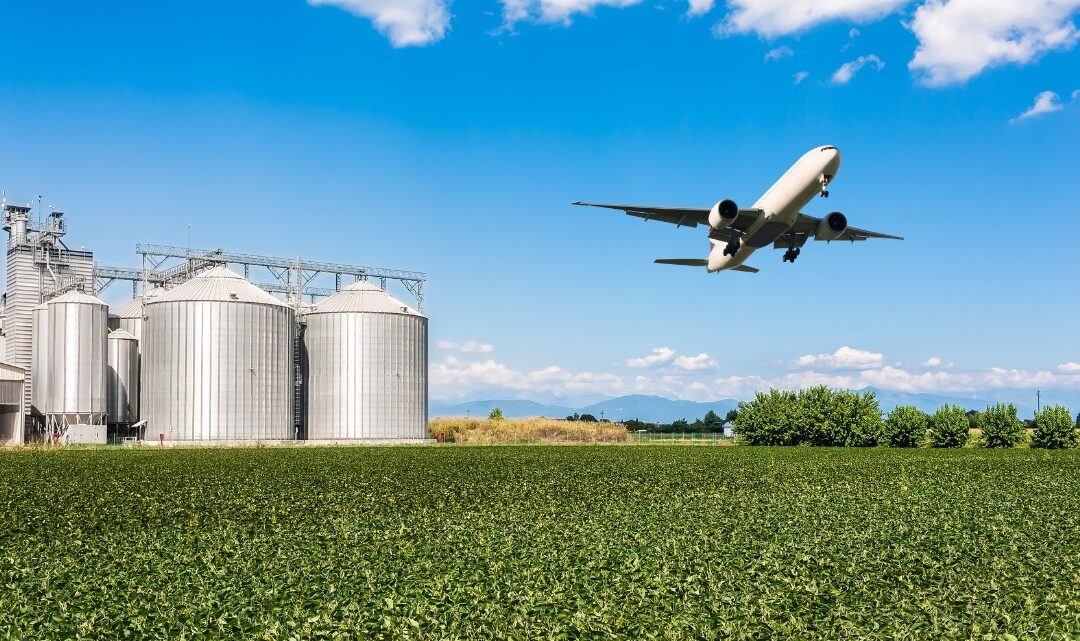 Logística agrícola transporta de maquinários a moléculas