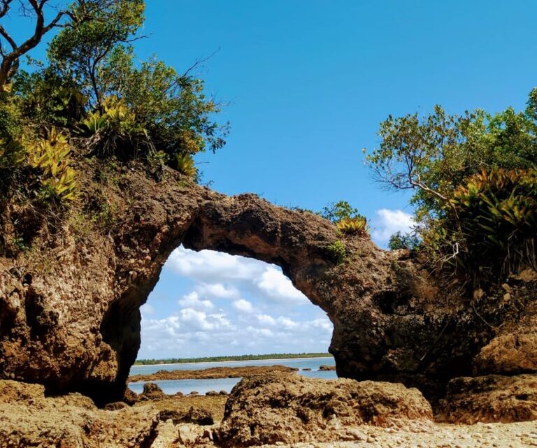 Grupo cultural de Ilhéus resgata ancestralidade africana