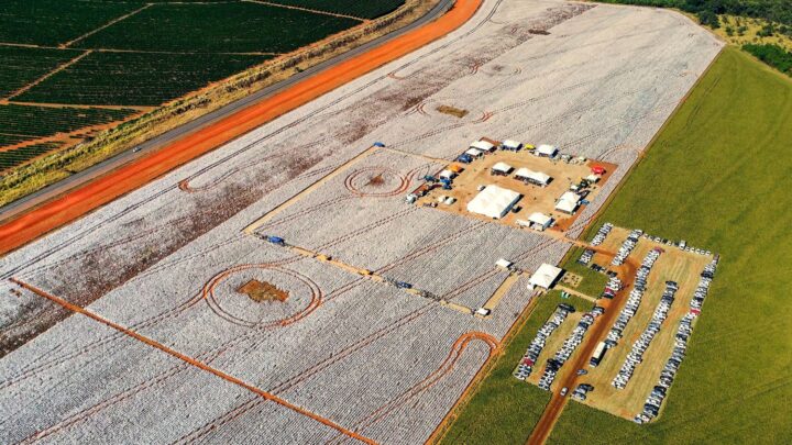 Dia de Campo Amipa 2024 promete novidades para o setor da cotonicultura mineira