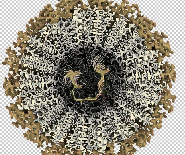 Produtos nanoestruturados ganham força na cosmética