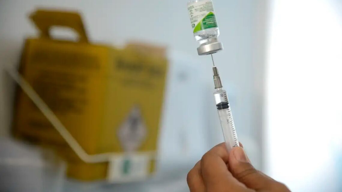 ESPÍRITO SANTO: Mobilização contra a gripe continua no estado