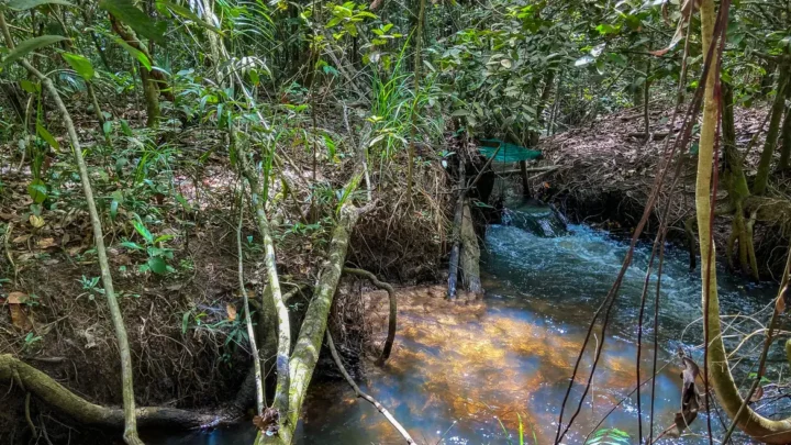 Fronteira entre Amazônia e Cerrado: clima deve comprometer viabilidade de 74% das terras agrícolas até 2060