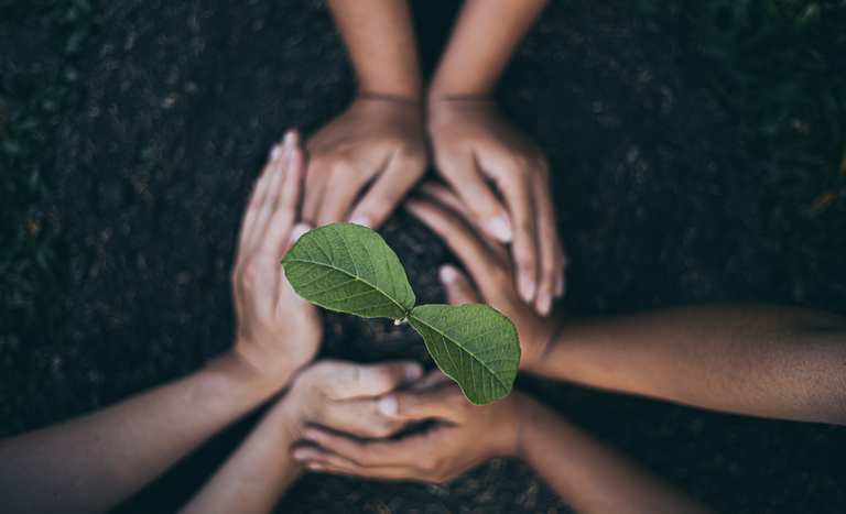 Governo lança política para conservação e uso sustentável de recursos para alimentação, agricultura e pecuária