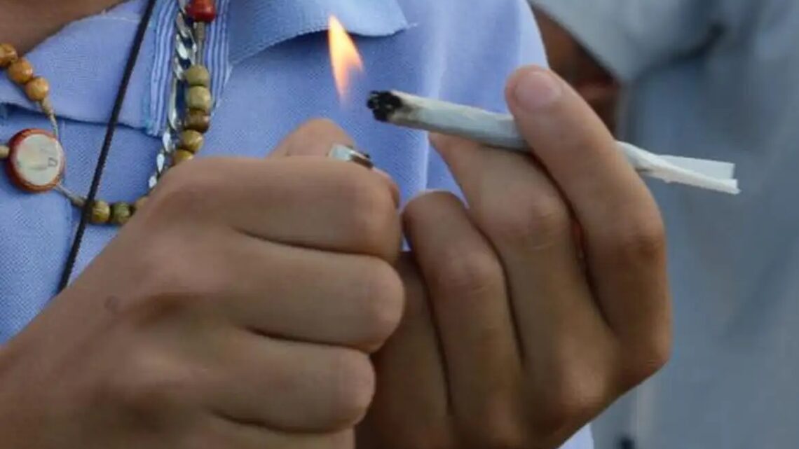 Mesmo em pequenas quantidades, maconha pode ser nociva para saúde e problema de segurança pública