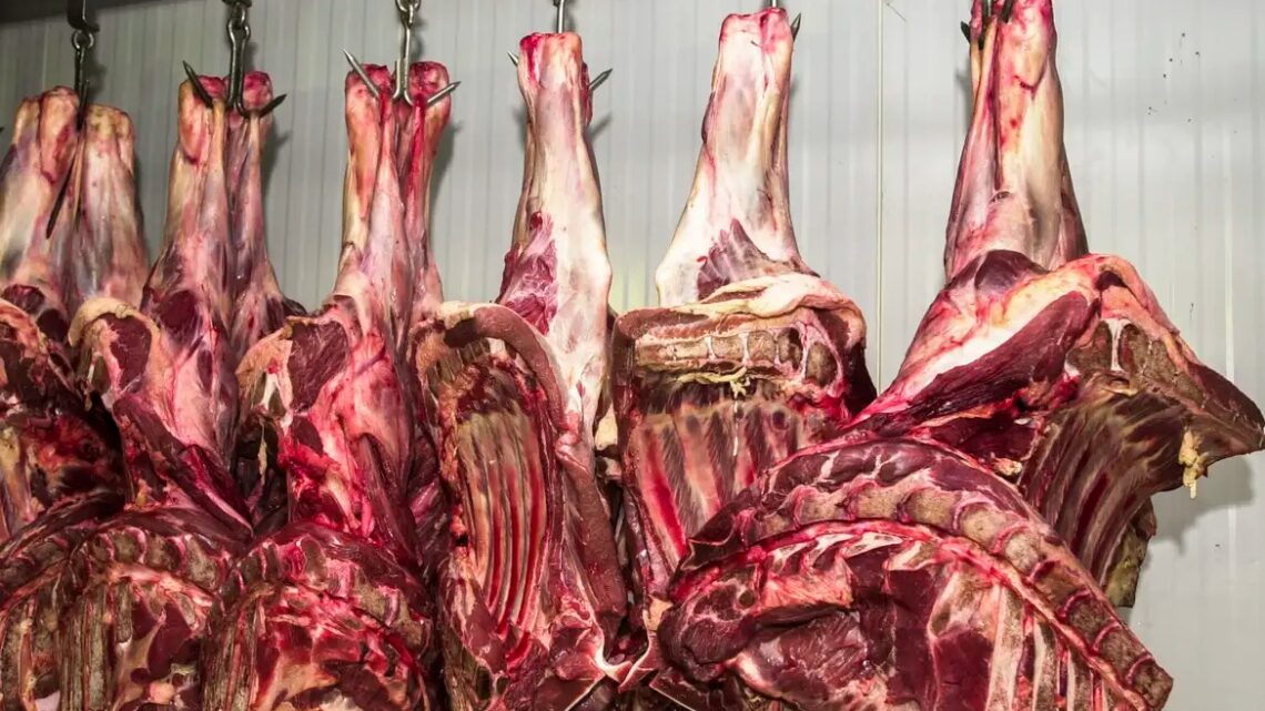 Mercado de bovinos encerrou julho com negócios estáveis