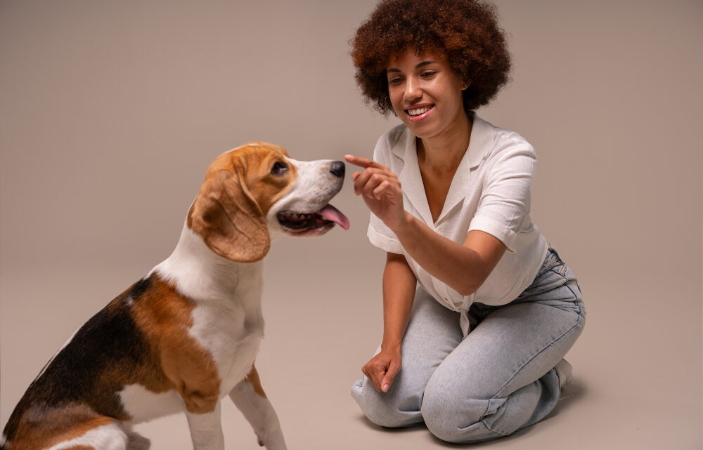 Importância da informação técnica na escolha do primeiro Pet