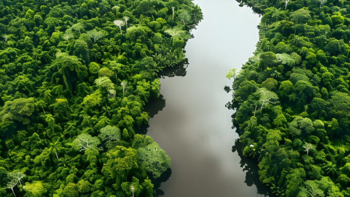 Crédito para transição climática é destaque na Semana do Clima de Nova York