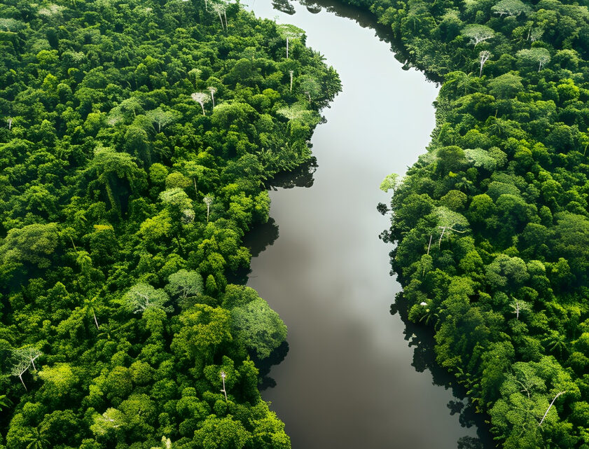 Crédito para transição climática é destaque na Semana do Clima de Nova York