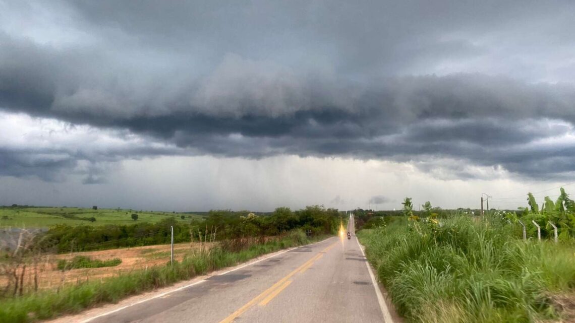 Ceará: apesar de chuva acima do normal no início do ano, produtor revela perdas no plantio