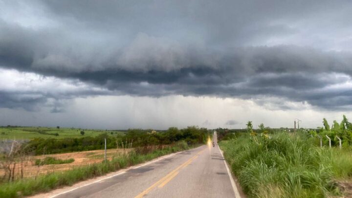 Ceará: apesar de chuva acima do normal no início do ano, produtor revela perdas no plantio