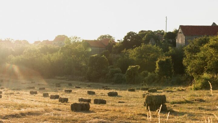 Declaração do Imposto Territorial Rural: prazo vai até 30 de setembro