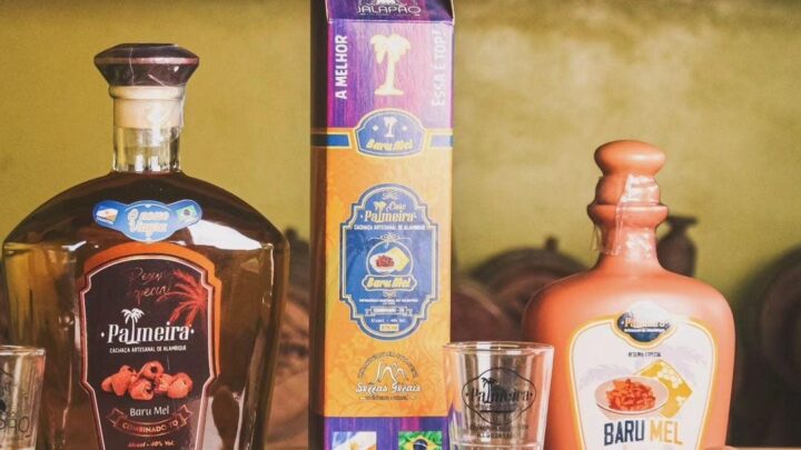 HISTÓRIAS EXPORTADORAS: conheça a trajetória de produtor de cachaça artesanal do Tocantins que se prepara para exportar
