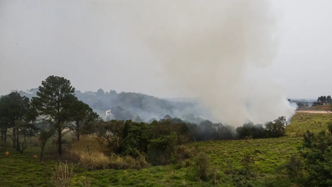 Queimadas em SP: empobrecimento do solo pode ser consequência grave
