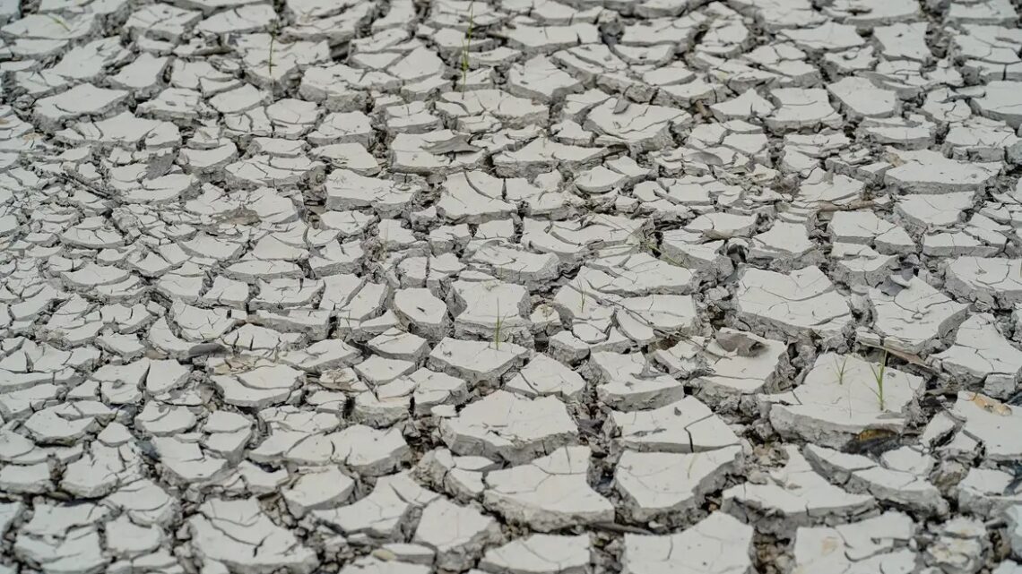 Seca extrema: ação humana é uma das causas principais do fenômeno climático