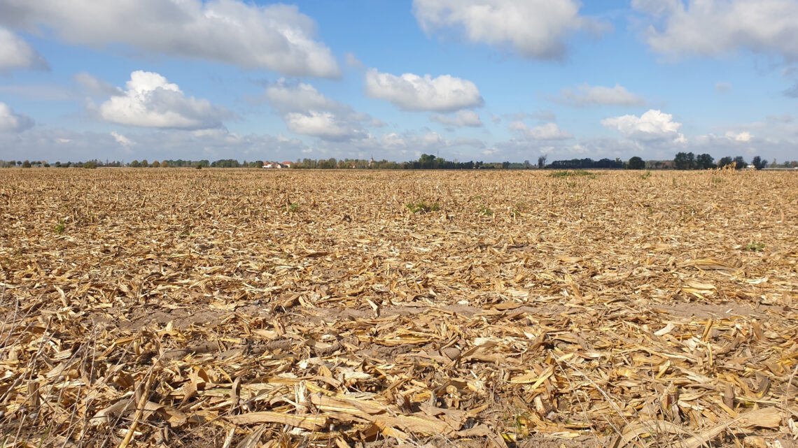 Seca mais severa da história do país vai pesar nos bolsos dos brasileiros