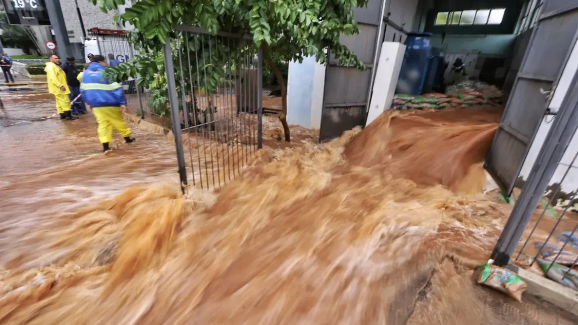 Setor agrícola está entre os que mais sofrem com as chuvas no RS