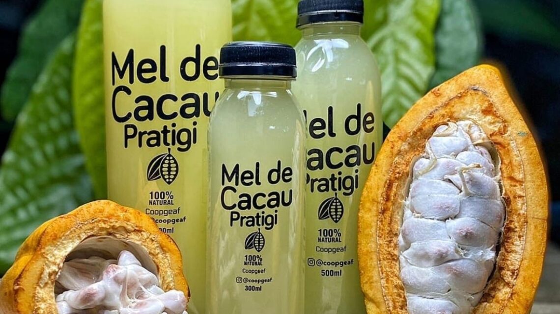 Com apoio da ApexBrasil, cooperativa de cacau baiana exporta para Portugal