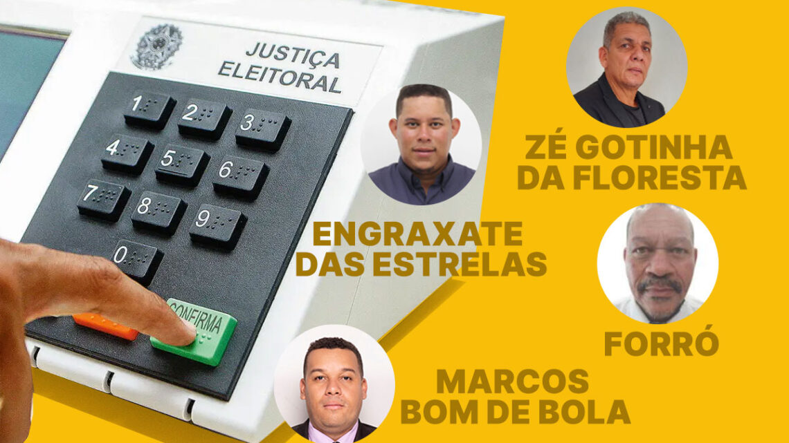 Solteiro e Soneca Paredão: nas eleições de 2024, candidatos com nomes divertidos chamam atenção