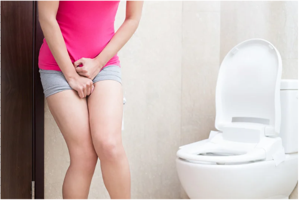 Ativos naturais podem ajudar a prevenir infecções urinárias