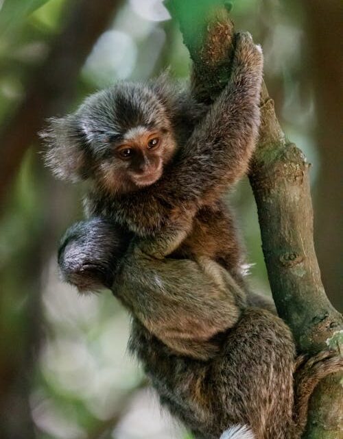 Destinos sustentáveis permitem vivenciar experiências próximas da natureza