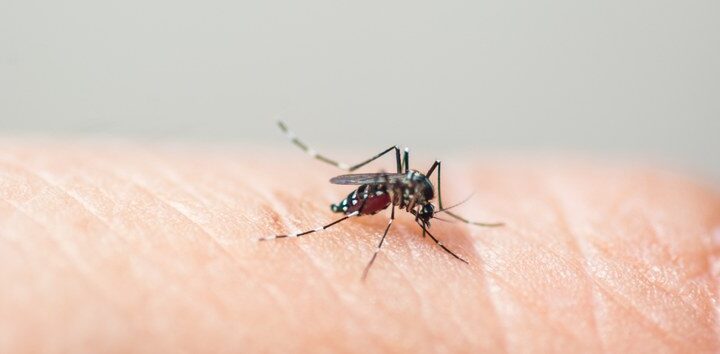 Dengue: Saúde vai investir R$ 1,5 bi no controle da doença