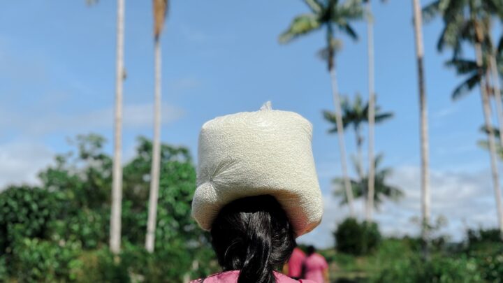 Mulheres lideram soluções climáticas locais no Brasil