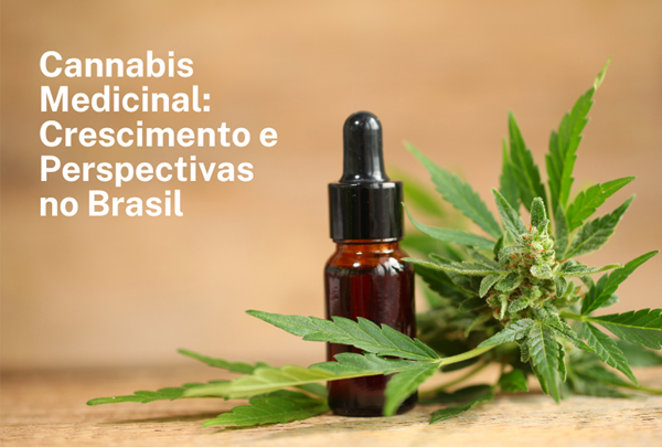 Cannabis medicinal demonstra crescimento otimista no Brasil