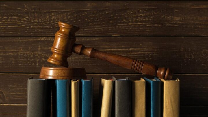 Advogada esclarece dúvidas sobre Amicus Curiae