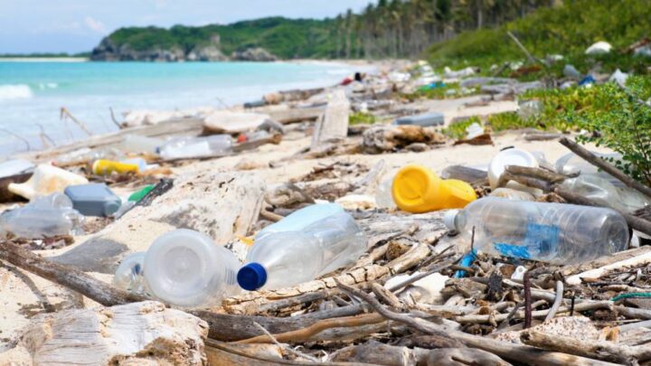 Turista Consciente: movimento quer reduzir lixo nas praias
