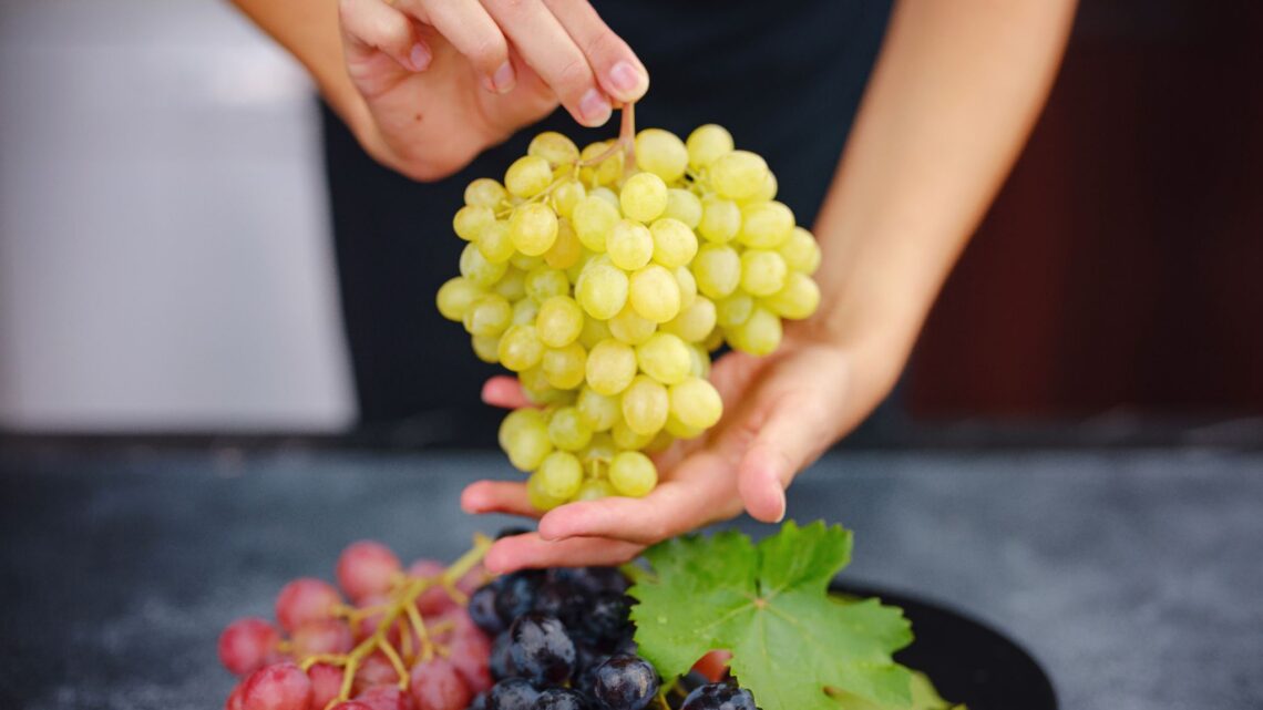 Estudo aponta que uvas fazem bem para a saúde do coração