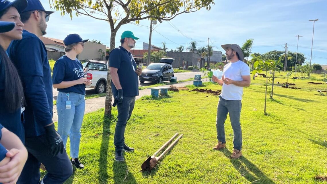 Em parceria com Amanco, Meio Ambiente de Nova Odessa planta mais 50 mudas de árvores no Monte das Oliveiras