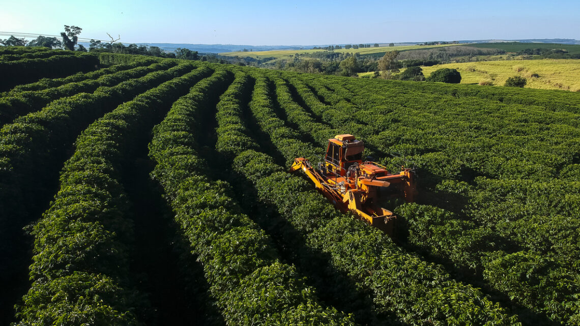 Tarifas de Trump abrem chance ao agro brasileiro